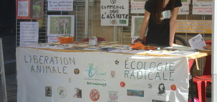 Environnement